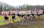 Boys Under-15s 2023 UK CAU Inter Counties Cross Country Champs, Prestwold Hall, Loughborough. Photo: David T. Hewitson/Sports for All Pics